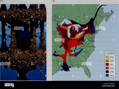 《天使之戰(zhàn)H5》 掘金游戲市場，共贏銷售代理新機(jī)遇